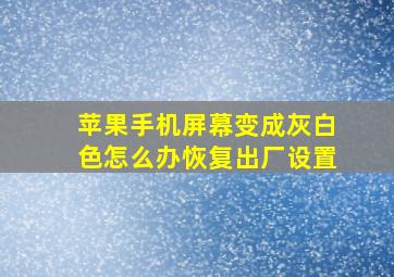 苹果手机屏幕变成灰白色怎么办恢复出厂设置