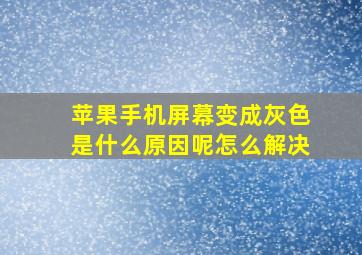 苹果手机屏幕变成灰色是什么原因呢怎么解决