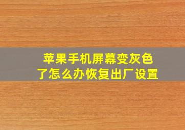 苹果手机屏幕变灰色了怎么办恢复出厂设置