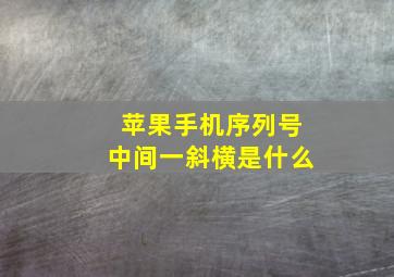 苹果手机序列号中间一斜横是什么