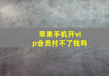 苹果手机开vip会员付不了钱吗