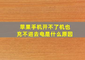 苹果手机开不了机也充不进去电是什么原因