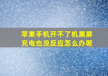 苹果手机开不了机黑屏充电也没反应怎么办呢