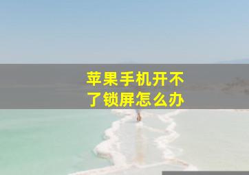 苹果手机开不了锁屏怎么办