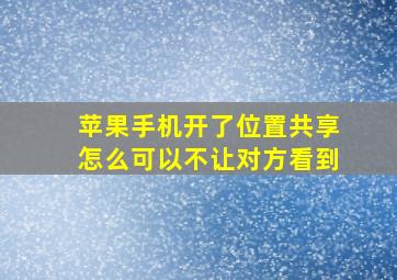 苹果手机开了位置共享怎么可以不让对方看到