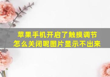 苹果手机开启了触摸调节怎么关闭呢图片显示不出来