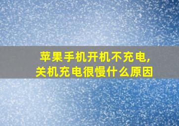 苹果手机开机不充电,关机充电很慢什么原因