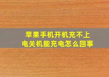 苹果手机开机充不上电关机能充电怎么回事