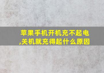 苹果手机开机充不起电,关机就充得起什么原因