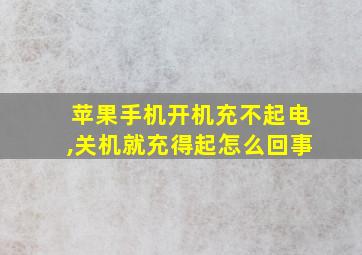 苹果手机开机充不起电,关机就充得起怎么回事