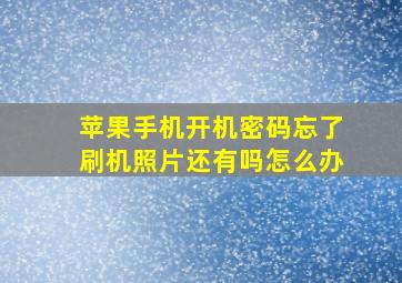 苹果手机开机密码忘了刷机照片还有吗怎么办