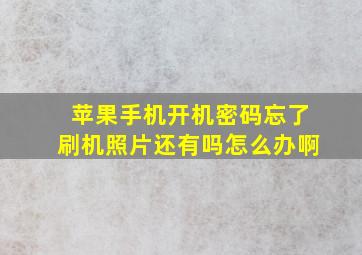 苹果手机开机密码忘了刷机照片还有吗怎么办啊