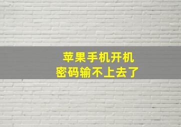 苹果手机开机密码输不上去了