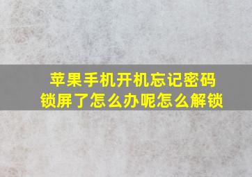 苹果手机开机忘记密码锁屏了怎么办呢怎么解锁