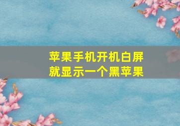 苹果手机开机白屏就显示一个黑苹果