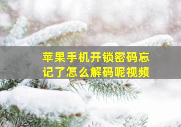 苹果手机开锁密码忘记了怎么解码呢视频