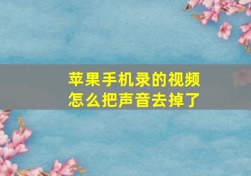 苹果手机录的视频怎么把声音去掉了