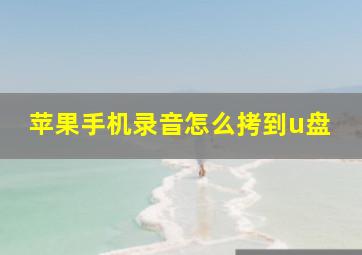 苹果手机录音怎么拷到u盘