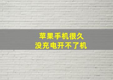 苹果手机很久没充电开不了机