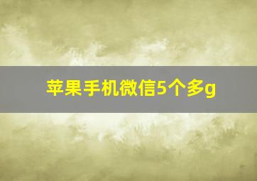 苹果手机微信5个多g