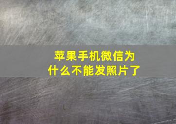 苹果手机微信为什么不能发照片了