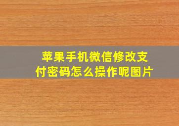 苹果手机微信修改支付密码怎么操作呢图片