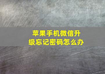 苹果手机微信升级忘记密码怎么办