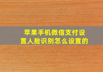 苹果手机微信支付设置人脸识别怎么设置的