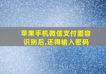 苹果手机微信支付面容识别后,还得输入密码