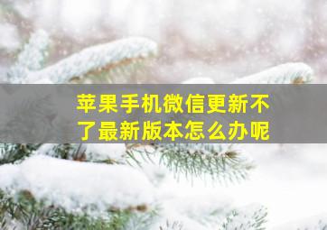 苹果手机微信更新不了最新版本怎么办呢