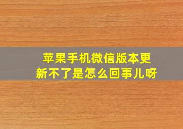 苹果手机微信版本更新不了是怎么回事儿呀