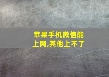 苹果手机微信能上网,其他上不了