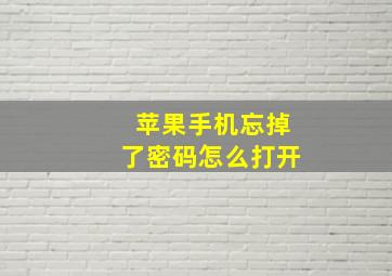 苹果手机忘掉了密码怎么打开