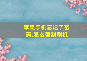 苹果手机忘记了密码,怎么强制刷机