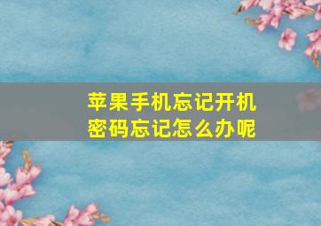 苹果手机忘记开机密码忘记怎么办呢