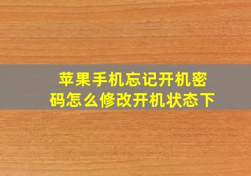 苹果手机忘记开机密码怎么修改开机状态下