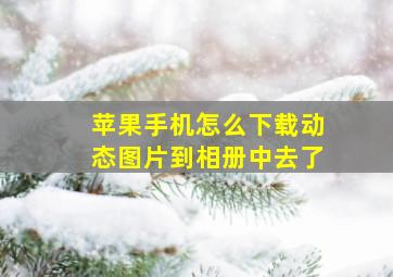 苹果手机怎么下载动态图片到相册中去了