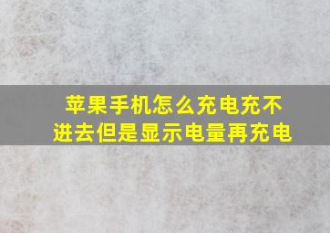 苹果手机怎么充电充不进去但是显示电量再充电