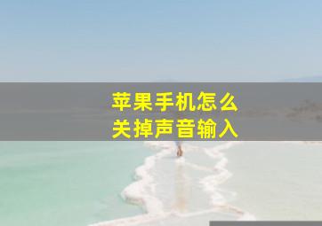 苹果手机怎么关掉声音输入