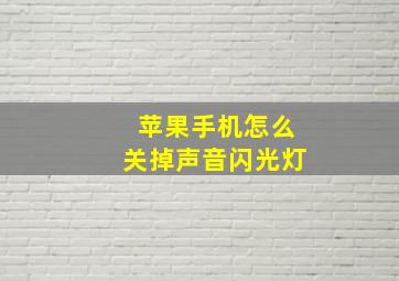 苹果手机怎么关掉声音闪光灯