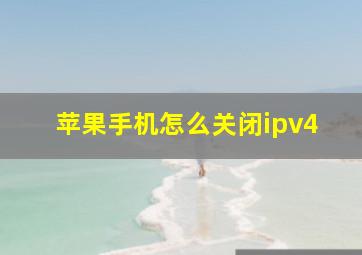 苹果手机怎么关闭ipv4