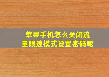 苹果手机怎么关闭流量限速模式设置密码呢