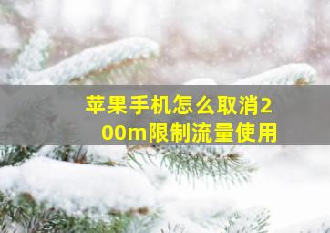 苹果手机怎么取消200m限制流量使用