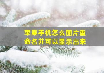 苹果手机怎么图片重命名并可以显示出来