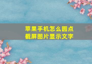 苹果手机怎么圆点截屏图片显示文字