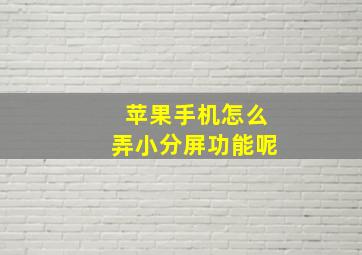 苹果手机怎么弄小分屏功能呢