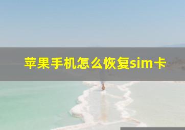 苹果手机怎么恢复sim卡