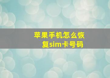 苹果手机怎么恢复sim卡号码