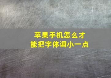 苹果手机怎么才能把字体调小一点