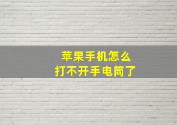 苹果手机怎么打不开手电筒了